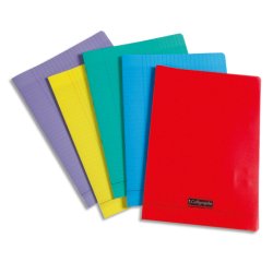 Cahier piqué 8000 POLYPRO A4 48 pages grands carreaux 90 g - Assortis