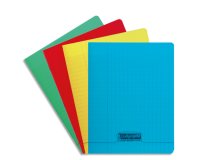 Cahier piqûre Calligraphe 8000 24 x 32cm assorti - grand carreaux - 48 pages