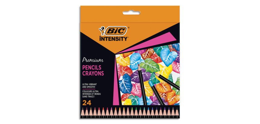 Etui de 24 crayons de couleur Intensity.. Couleurs miscibles assorties.