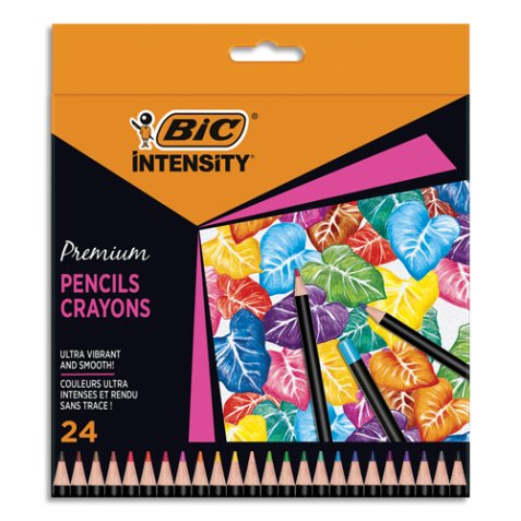 Etui de 24 crayons de couleur Intensity.. Couleurs miscibles assorties.