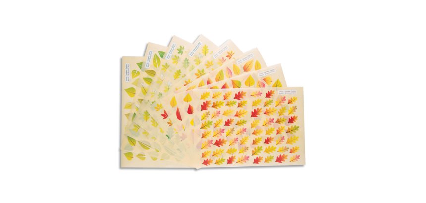 Gommette fantaisie cleopatre feuilles arbres               printemps/automne 4 motifs    1438 gommettes pochette de 24