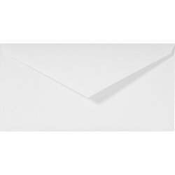 Paquet de 25 enveloppes gommées format DL 11x22cm. Coloris Blanc