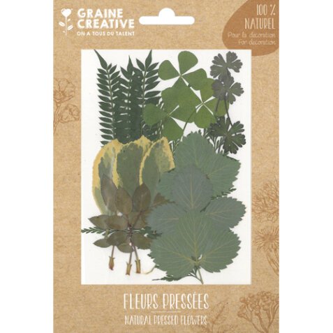 Sachet de 21 feuilles séchées FOREST pour la création de bougies, objets en bois, bijoux