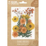 Sachet de 18 fleurs séchées PRAIRIE JAUNE pour la création de bougies, objets en bois...