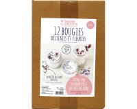 Kit bougies fleuries graine creative pour 12 eleves kit   complet