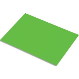 Lot de 10 feuilles de papier fluo 250g, dimensions 50 x 65 cm, coloris vert