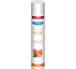 Désodorisant coldis usage professionnel parfum pêche aérosol 750ml