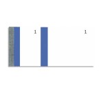 Bloc vendeur 100 feuillets 60x135 mm Bleu