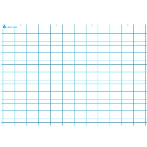 Carte première écriture, double ligne. En polypro 5/10è effaçable à sec format 70x100cm