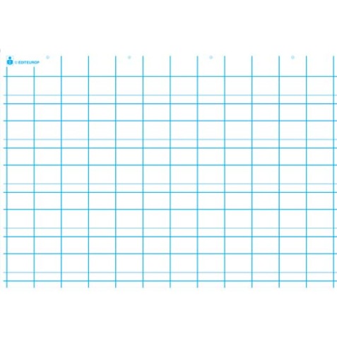 Carte première écriture, double ligne. En polypro 5/10è effaçable à sec format 70x100cm