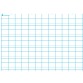 Carte première écriture, double ligne. En polypro 5/10è effaçable à sec format 70x100cm