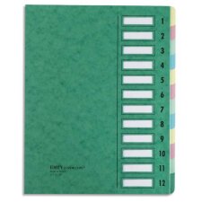 Trieur JUNIOR en carte avec système clip, 12 compartiments. Coloris Vert.