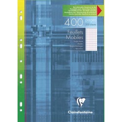 Feuillets mobiles sous étui A4 400 pages perforées petits carreaux + marge