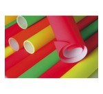 PAPIER AFFICHE FLUO, Rouleau de 10 feuilles 90g/m2 au format 60x80cm - Assortiment