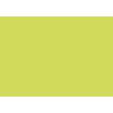 Paquet de 25 cartes simples Pollen 110x155mm 210g/m2