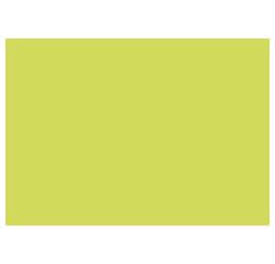 Paquet de 25 cartes simples Pollen 110x155mm 210g/m2