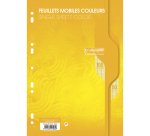 Feuillets mobiles sous film 7000 A4 100 pages perforées grands carreaux 80 g