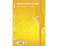 Feuillets mobiles sous film 7000 A4 100 pages perforées grands carreaux 80 g