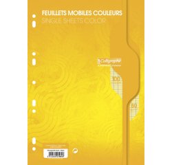 Feuillets mobiles sous film 7000 A4 100 pages perforées grands carreaux 80 g