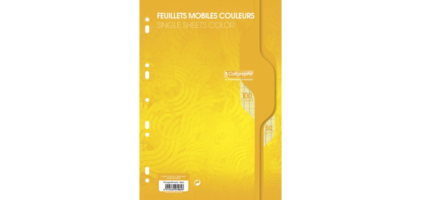 Feuillets mobiles sous film 7000 A4 100 pages perforées grands carreaux 80 g