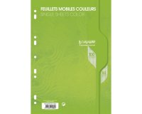 Feuillets mobiles sous film 7000 A4 100 pages perforées grands carreaux 80 g