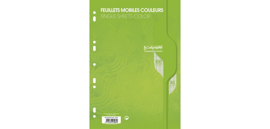 Feuillets mobiles sous film 7000 A4 100 pages perforées grands carreaux 80 g