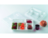 Plateau 5 compartiments - Lot de 200