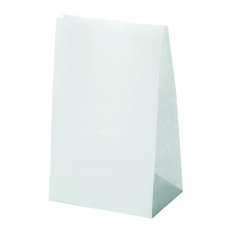 Sac U.S. kraft blanc 24 x 12 x 8 cm - Carton de 1000