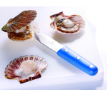 Couteau à coquilles Saint-Jacques 11 cm