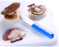 Couteau à coquilles Saint-Jacques 11 cm