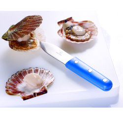 Couteau à coquilles Saint-Jacques 11 cm
