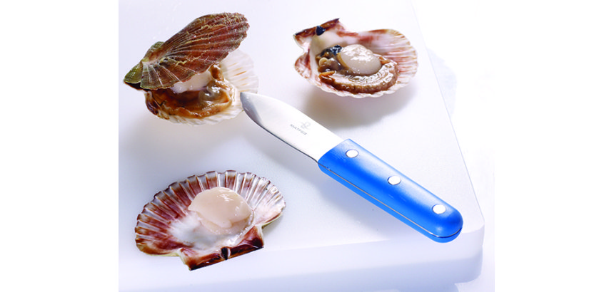 Couteau à coquilles Saint-Jacques 11 cm