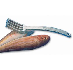 Ecailleur à poisson 22 cm