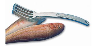 Ecailleur à poisson 22 cm