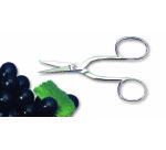 Ciseaux à oursins ou à raisins 15,5 cm