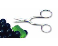 Ciseaux à oursins ou à raisins 15,5 cm