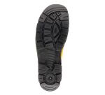 Portwest FD95 Botte PU S5 CI FO