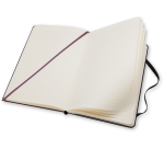 Carnet de poche Moleskine 90x140mm ligné couverture rigide noir