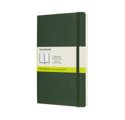 Carnet de notes Moleskine L 130x210mm uni vert myrte