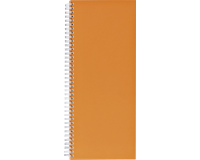 Livre d'inventaire 135x330mm ligné 160 pages 70g spirale orange