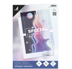 <strong>Hülle Modell L Kangaro A4 PVC 0,18mm transparent 25 Stück</strong>