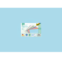 Carton photo Folia double-face pastel 50x70cm assorti