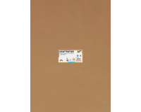 Carton kraft Folia 50x70cm 120g 25 feuilles