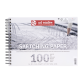 Schetspapier Talens Art Creation 100 witte vellen 90gr 297x210mm grijs