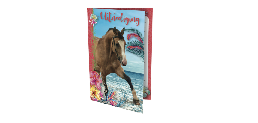 Invitation card Horse 17.5x12.2cm (NL)