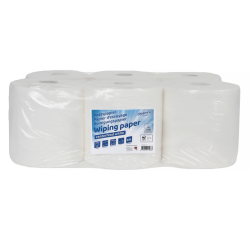 Papier d'essuyage Cleaninq Medium 2 épaisseurs 450 feuilles blanc