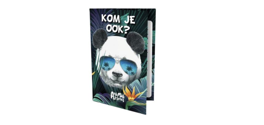 Uitnodigingen Panda 13.5x9cm