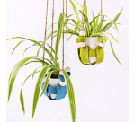 Pâte à modeler Fimo Soft Colour 12 couleurs basiques