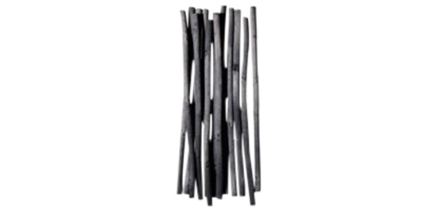 Fusain Coates 2-3mm 25 Stück
