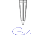 Recharge encre gel Parker Quink Medium bleu blister 2 pièces